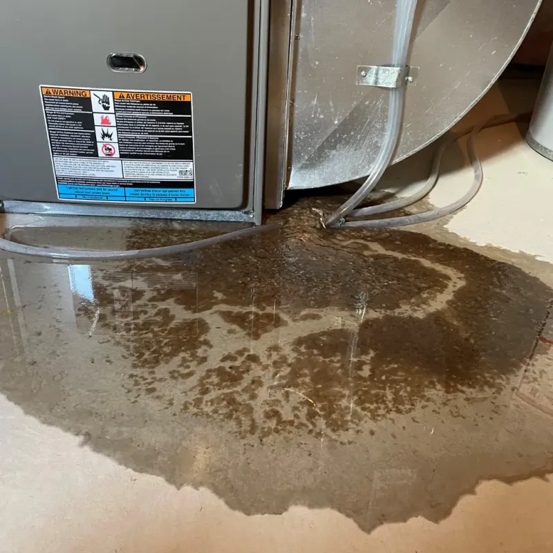 Appliance Leak Cleanup in Midwest City, OK